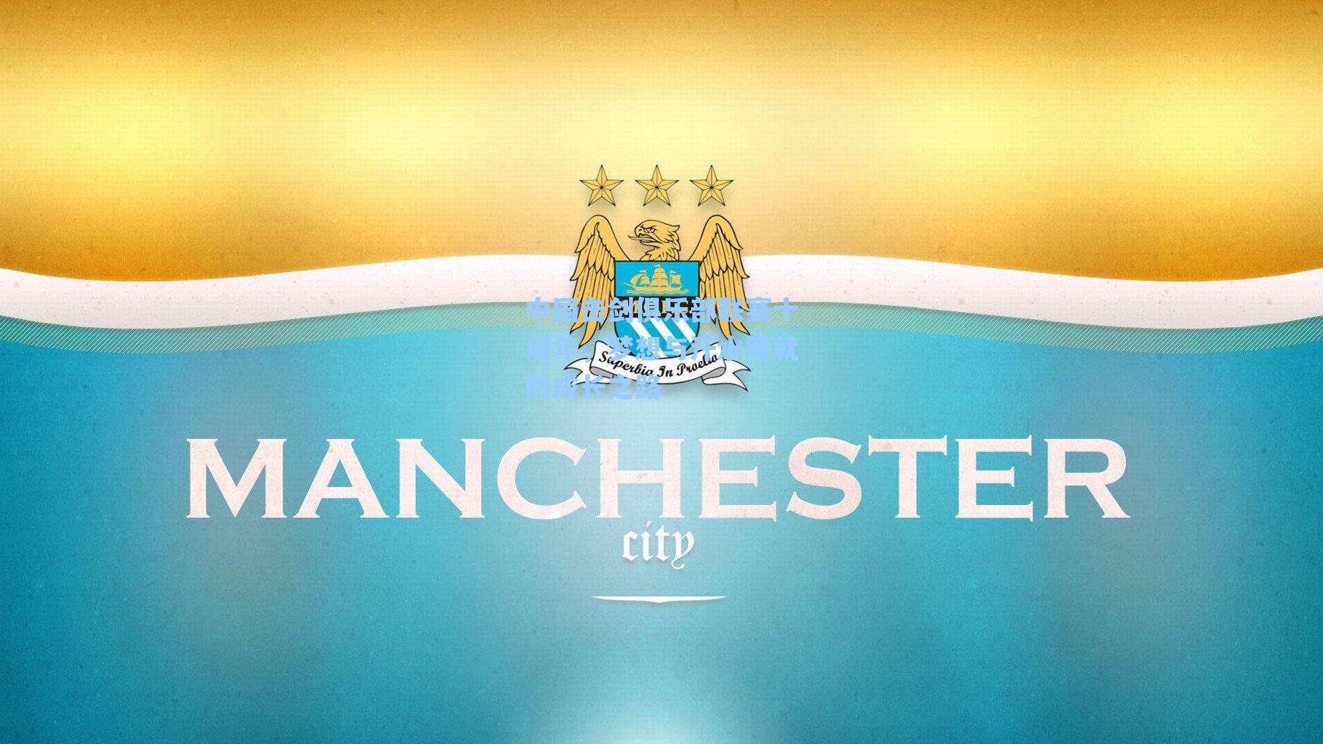 中国击剑俱乐部联赛十周年,梦想与汗水铸就的成长之路